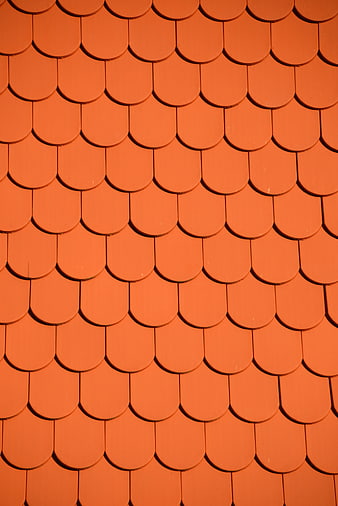 Close-up of orange scalloped roof tiles pattern