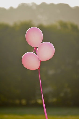 Three Pink Balloons Floating Against Blurred Nature Background