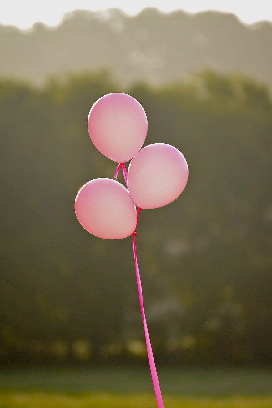 Three Pink Balloons Floating Against Blurred Nature Background