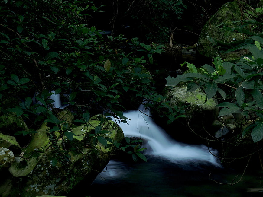 Serene Forest Stream with Long Exposure Waterfall