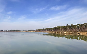 Serene Lake Landscape with Pine Forest and Blue Sky