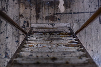 Weathered wooden stairs leading upwards in rustic interior
