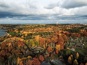 Aerial View of Vibrant Autumn Forest Near Lake and City