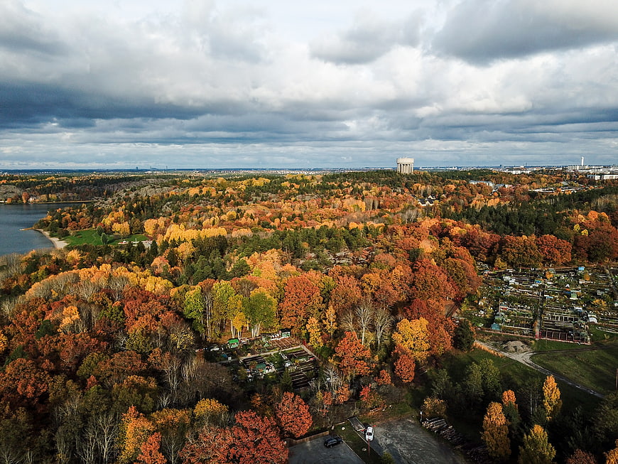 Aerial View of Vibrant Autumn Forest Near Lake and City