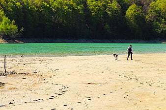 Man Walking Dog on Sandy Lake Shore with Green Water