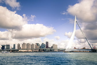 Zandbrug cable-stayed bridge in Rotterdam skyline