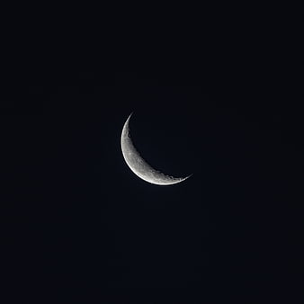 Crescent Moon in Dark Night Sky