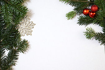 Christmas fir branches with red baubles and gold snowflake on white background