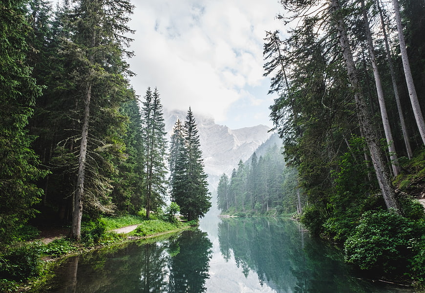 Serene Alpine Lake Reflection in Pine Forest