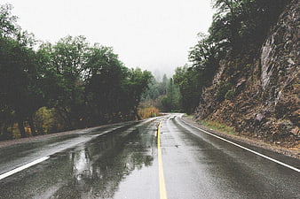 Winding wet road through misty forest with rocky cliffs
