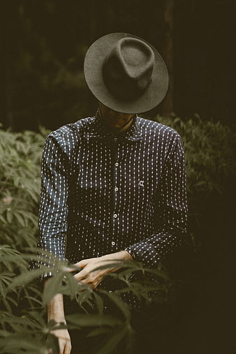 Man in Fedora Hat Inspecting Cannabis Plants in Dark Forest
