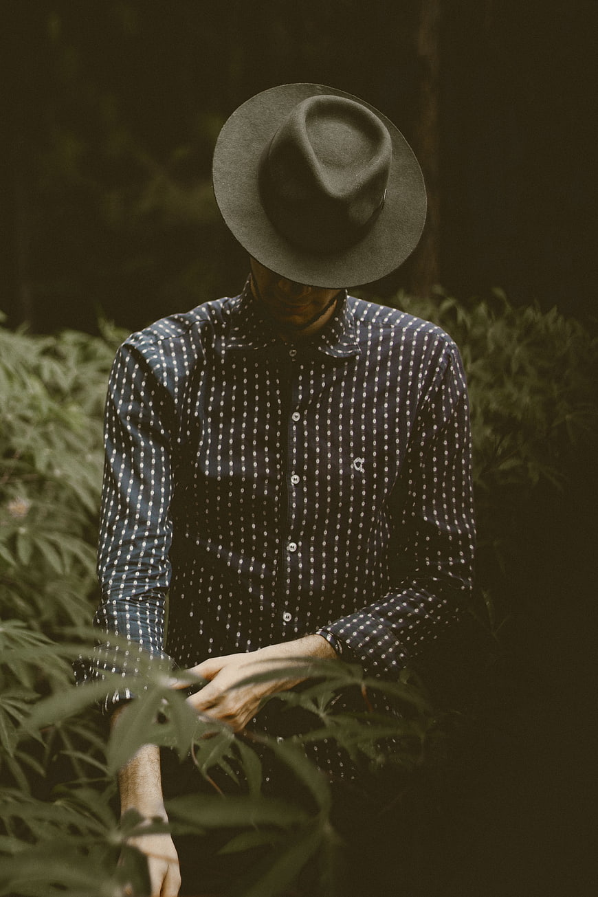 Man in Fedora Hat Inspecting Cannabis Plants in Dark Forest