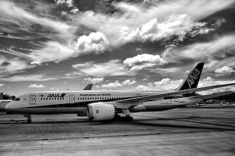 ANA Boeing 787 Dreamliner on Airport Tarmac