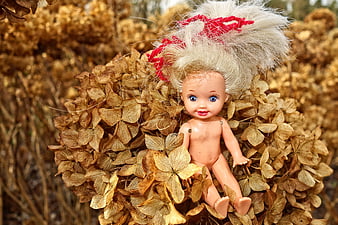 Vintage Blonde Doll with Red Bow in Dried Hydrangeas