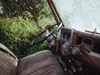 Interior of Abandoned Rusty Truck in Forest
