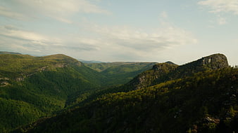 Panoramic View of Lush Green Mountain Valley and Forest