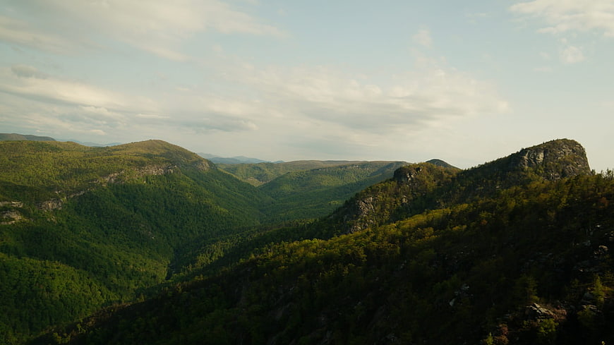 Panoramic View of Lush Green Mountain Valley and Forest