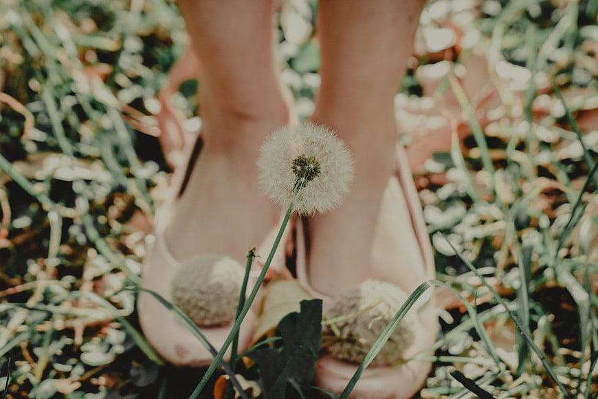 Woman's feet in pink shoes standing in grass with dandelion