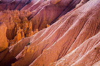 Eroded Red Rock Formations in Bryce Canyon Landscape