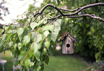 Rustic wooden birdhouse hanging from tree branch in garden