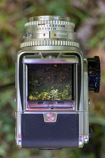 Vintage Hasselblad Camera in Forest with Flower Reflection