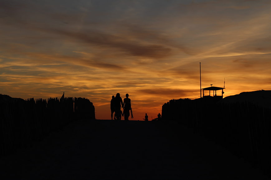 Silhouette of People Walking on Beach Path at Sunset