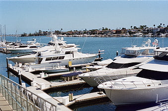 Luxury Yachts Docked at Sunny Marina with Coastal Houses