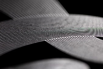 Abstract Monochrome Wavy Lines Background