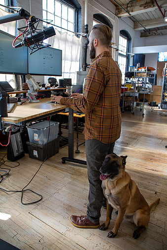 Man working at standing desk with dog in studio