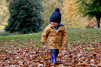 Toddler boy walking in autumn leaves wearing yellow jacket