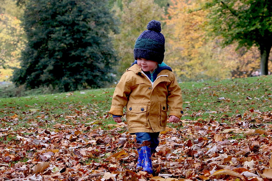 Toddler boy walking in autumn leaves wearing yellow jacket