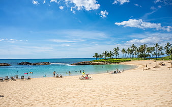 Tropical Beach Lagoon with Palm Trees and Clear Blue Water