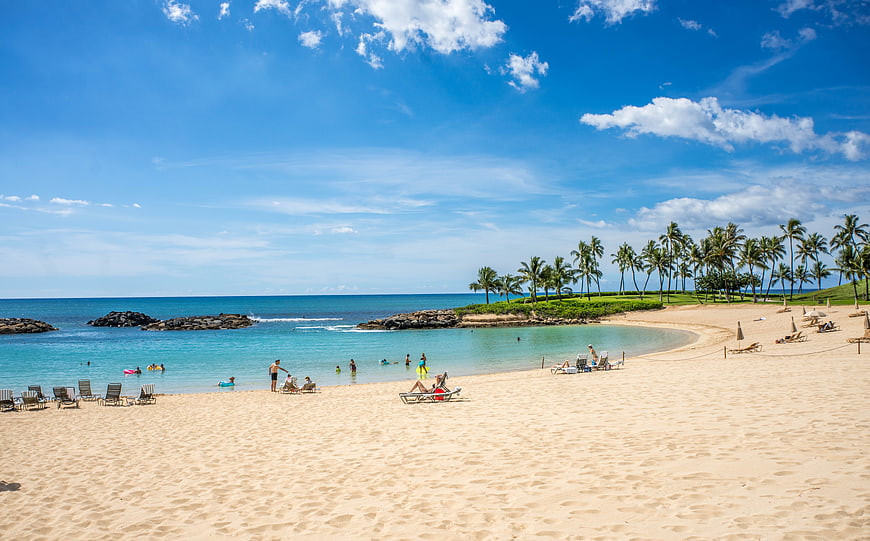 Tropical Beach Lagoon with Palm Trees and Clear Blue Water