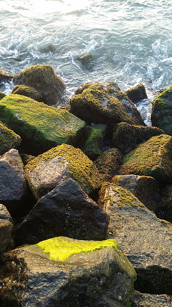 Moss-covered rocks by the ocean waves