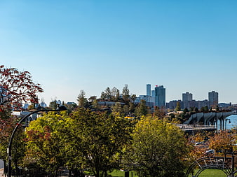 Autumn Park View with Manhattan Skyline and Modern Architecture