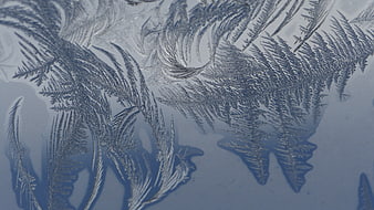 Frost Crystals On Glass Surface