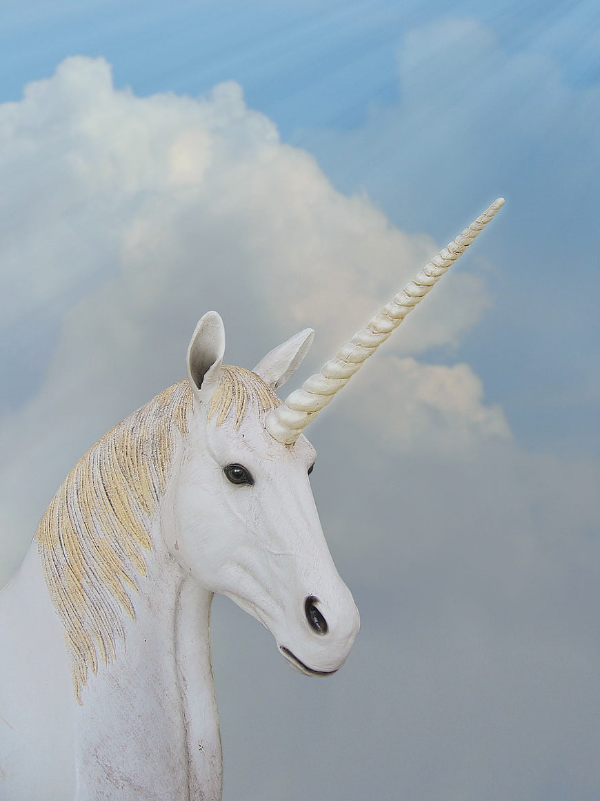 White Unicorn Statue Head Against Blue Sky With Clouds