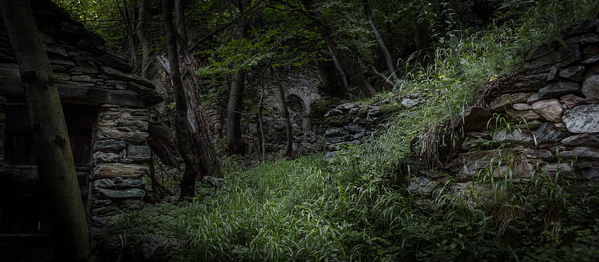Overgrown Stone Ruins in a Dark Forest