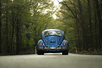Rear View of Classic Blue Volkswagen Beetle on Forest Road
