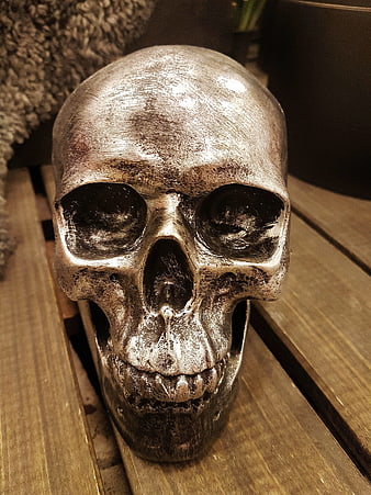 Silver Skull Sculpture on Wooden Surface