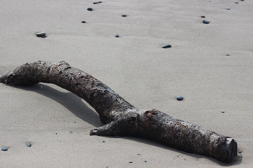 Weathered driftwood log on sandy beach with scattered stones