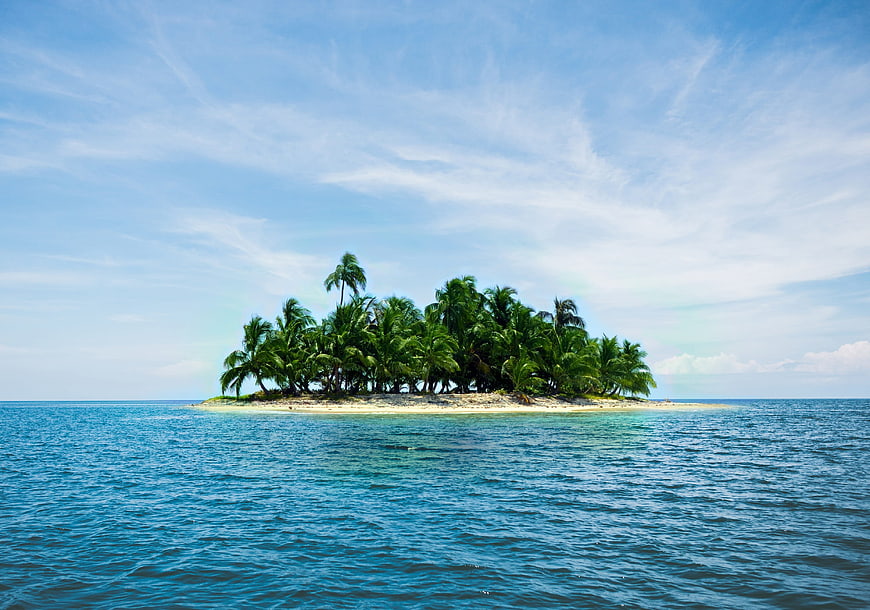 Tropical Island with Palm Trees in Blue Ocean