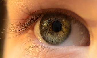 Extreme Close-Up of Human Eye with Hazel Iris
