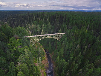 Aerial View of Steel Bridge Over River in Dense Forest