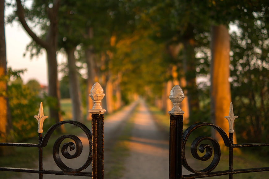 Ornate Iron Gate Opening to Tree-Lined Pathway at Sunset