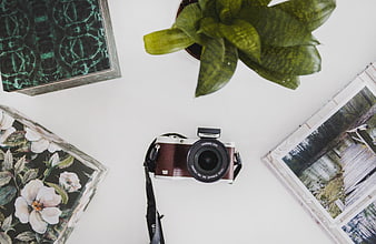 Flat lay of vintage camera, plant, and art prints on white desk
