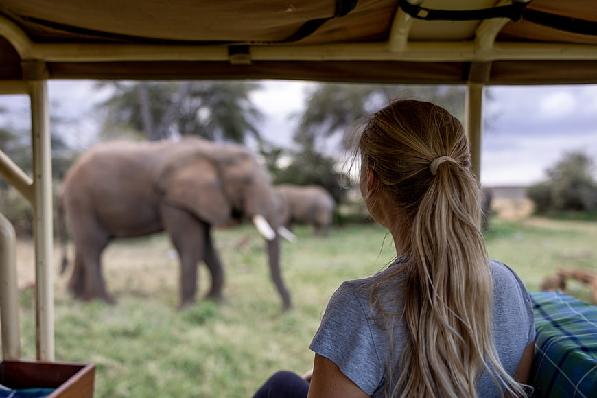 Woman on Safari Watching Elephants from Open Vehicle