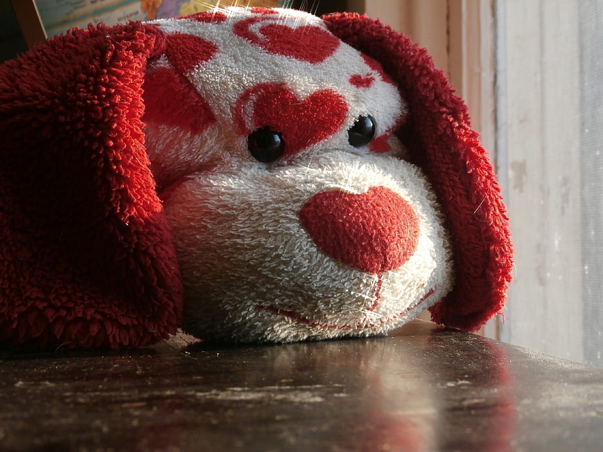 Close-up of Red and White Heart Pattern Stuffed Dog Toy