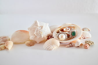 Vintage pearl and emerald rings displayed on seashells
