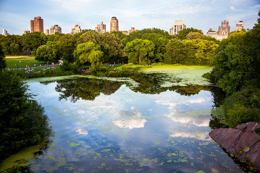 Serene Lake in Central Park with City Skyline Reflection